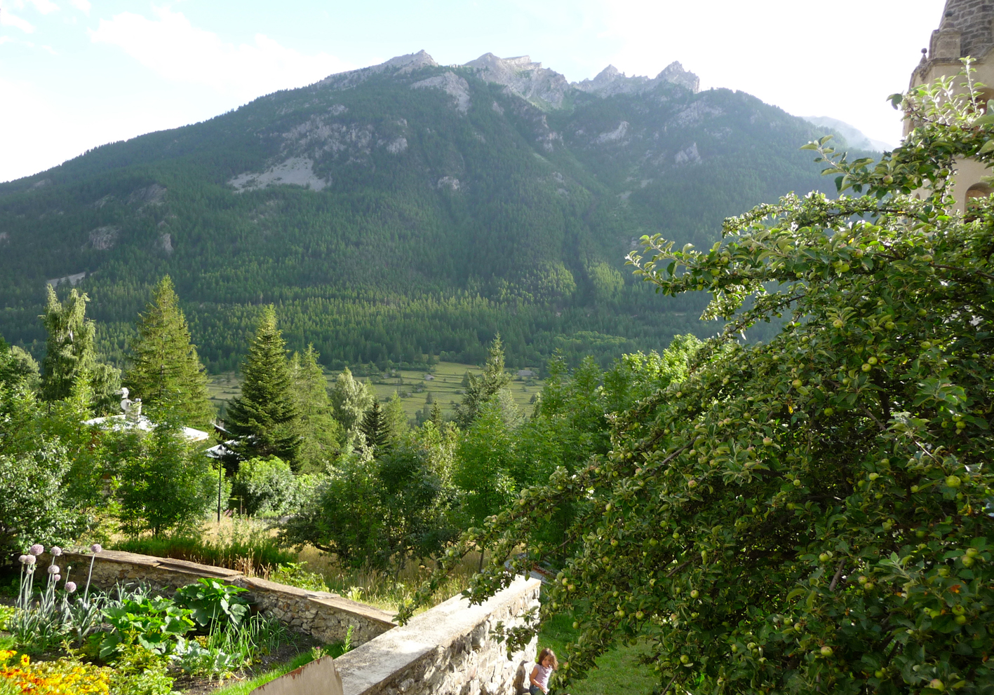 Vue de la maison